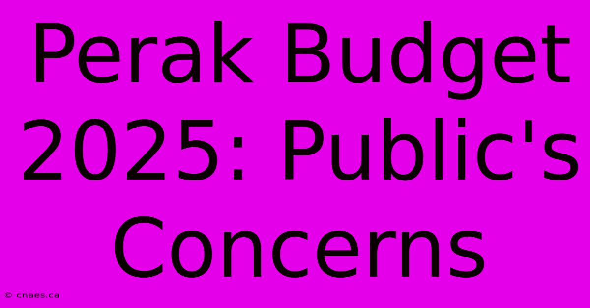 Perak Budget 2025: Public's Concerns