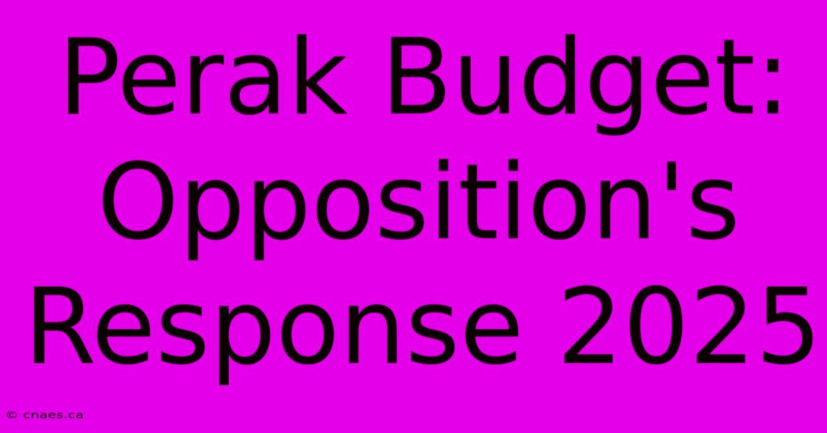 Perak Budget: Opposition's Response 2025