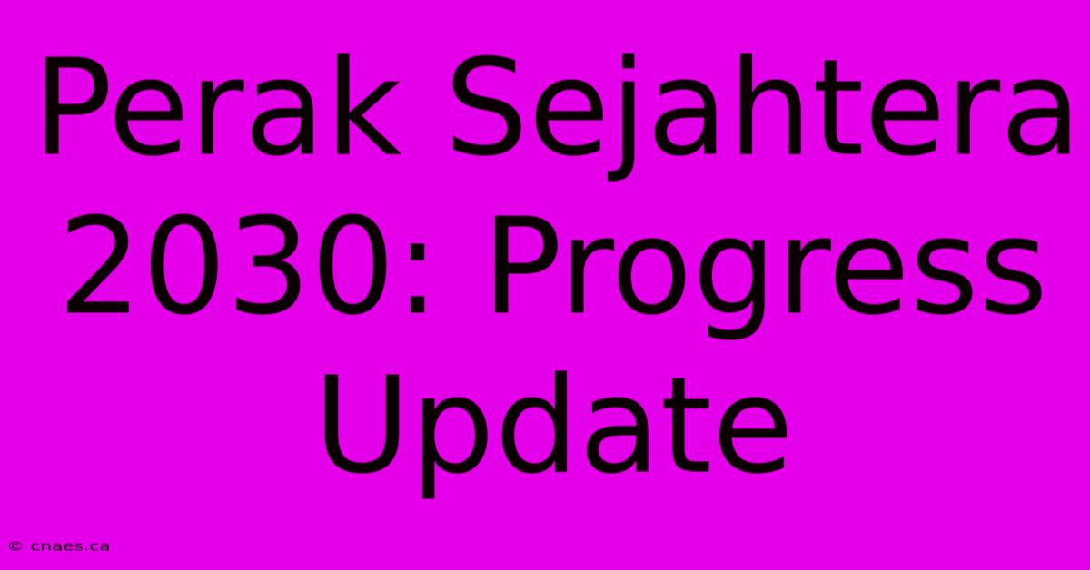 Perak Sejahtera 2030: Progress Update