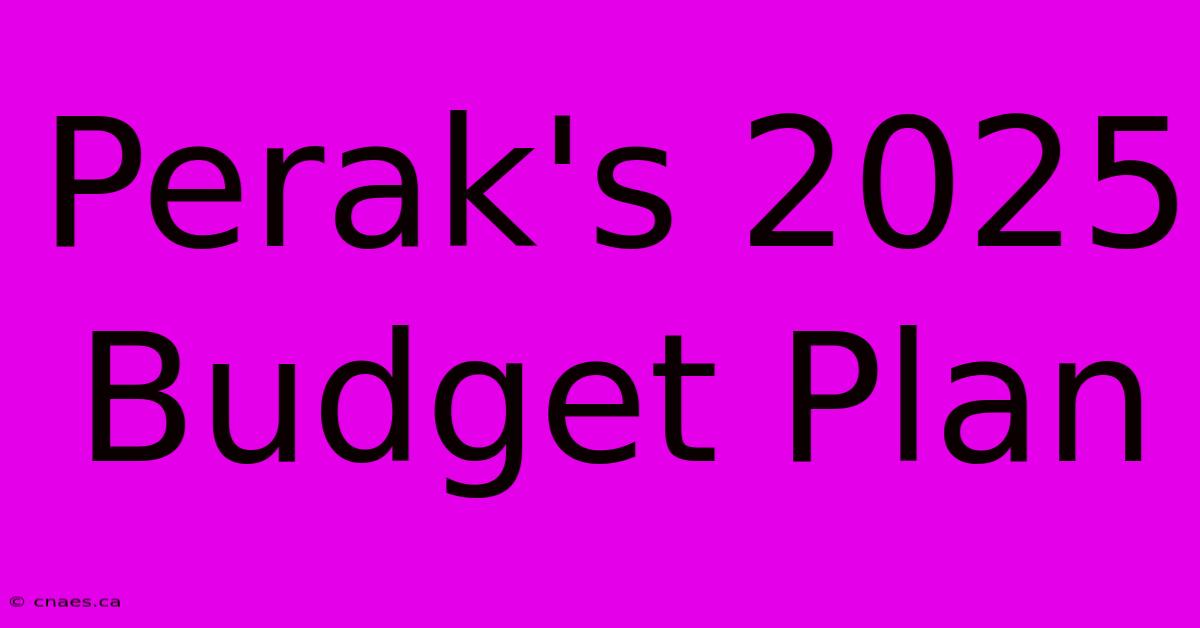 Perak's 2025 Budget Plan