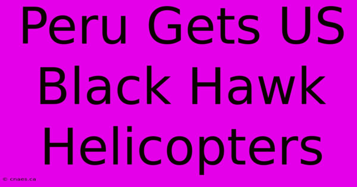 Peru Gets US Black Hawk Helicopters