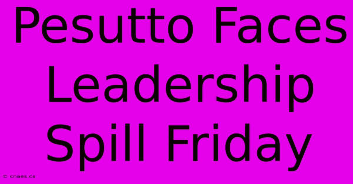 Pesutto Faces Leadership Spill Friday