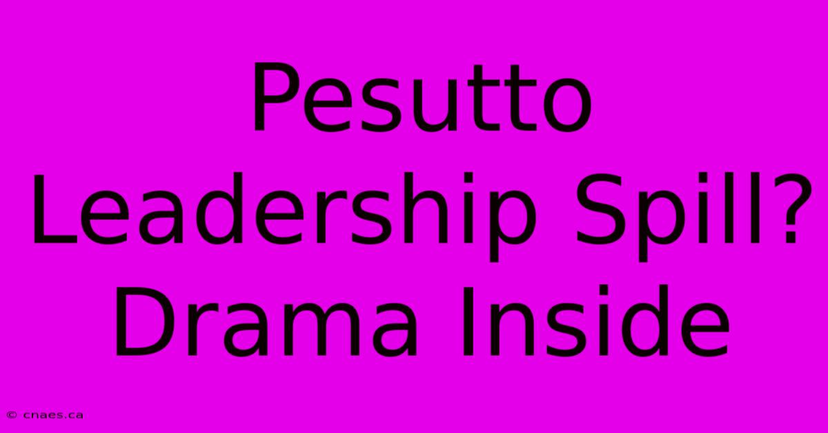 Pesutto Leadership Spill? Drama Inside