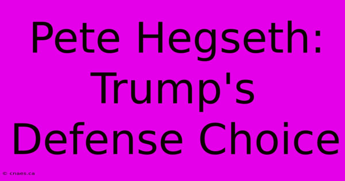 Pete Hegseth: Trump's Defense Choice