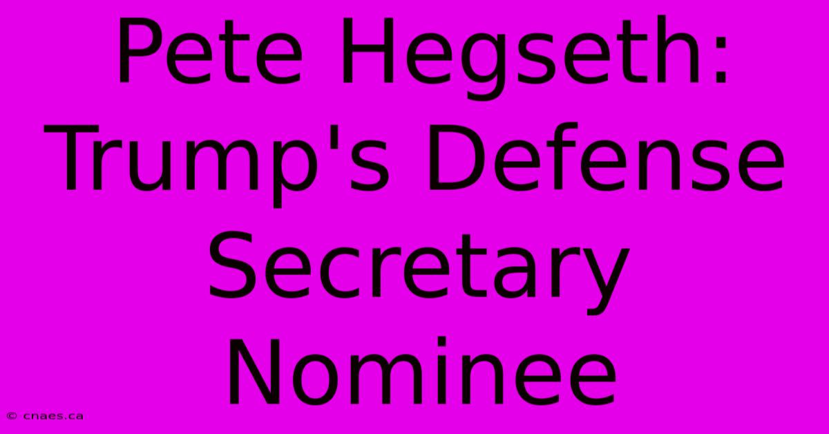 Pete Hegseth: Trump's Defense Secretary Nominee