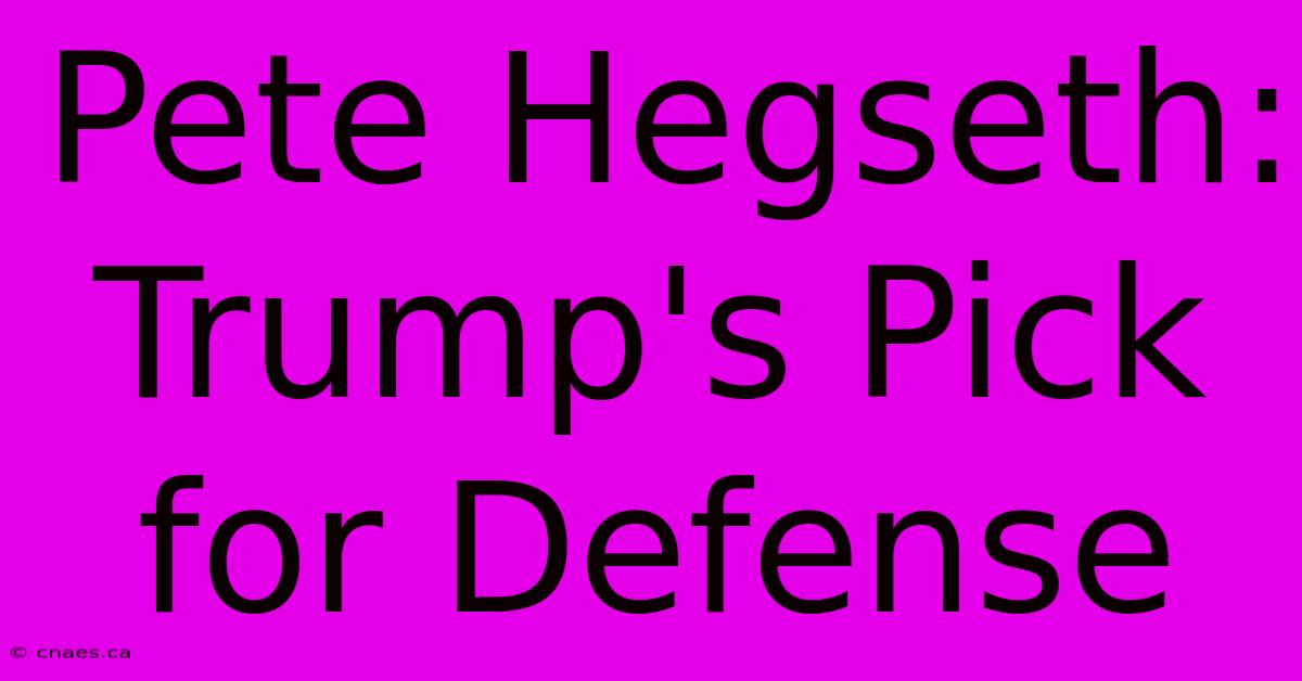 Pete Hegseth: Trump's Pick For Defense