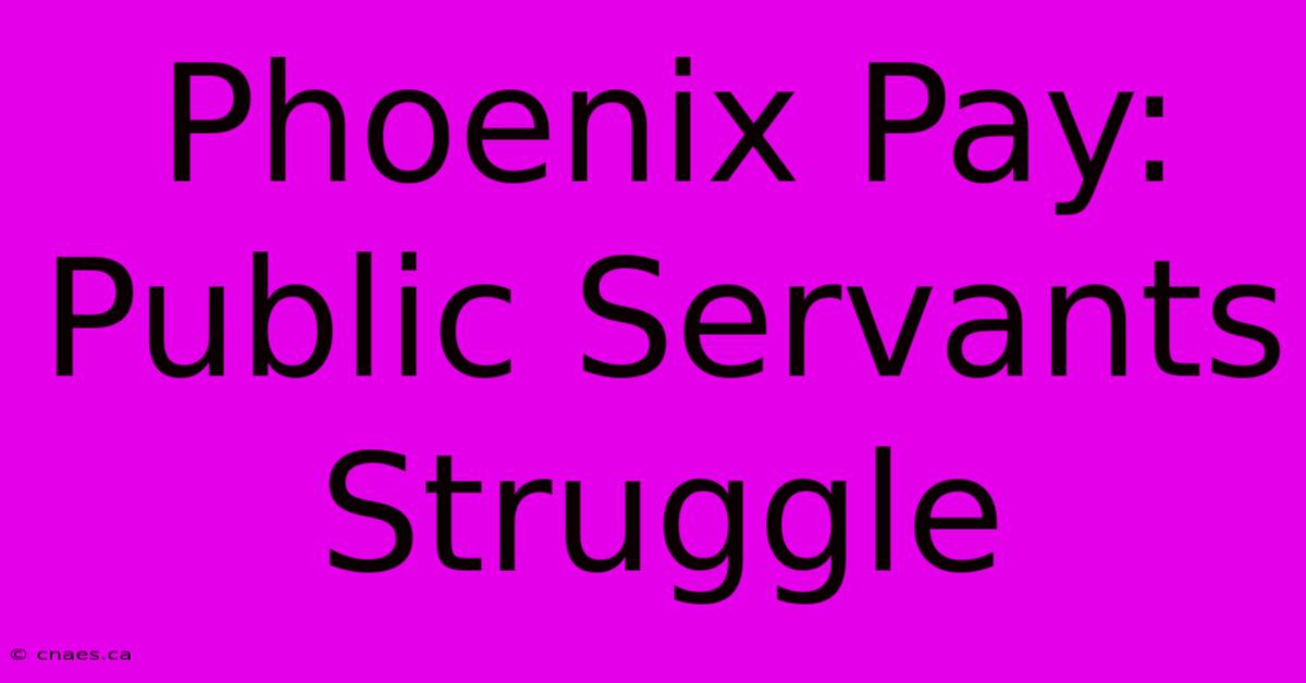 Phoenix Pay: Public Servants Struggle