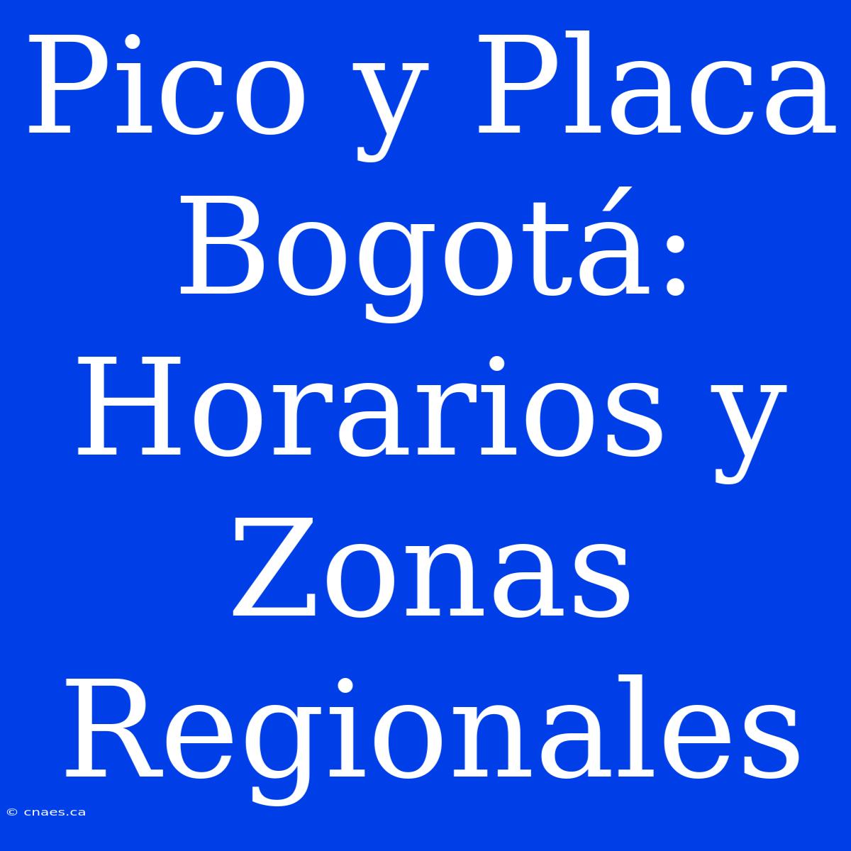 Pico Y Placa Bogotá: Horarios Y Zonas Regionales