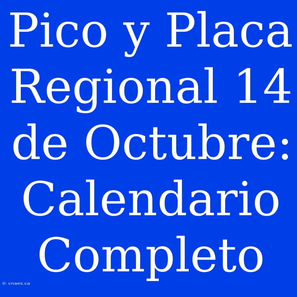 Pico Y Placa Regional 14 De Octubre: Calendario Completo