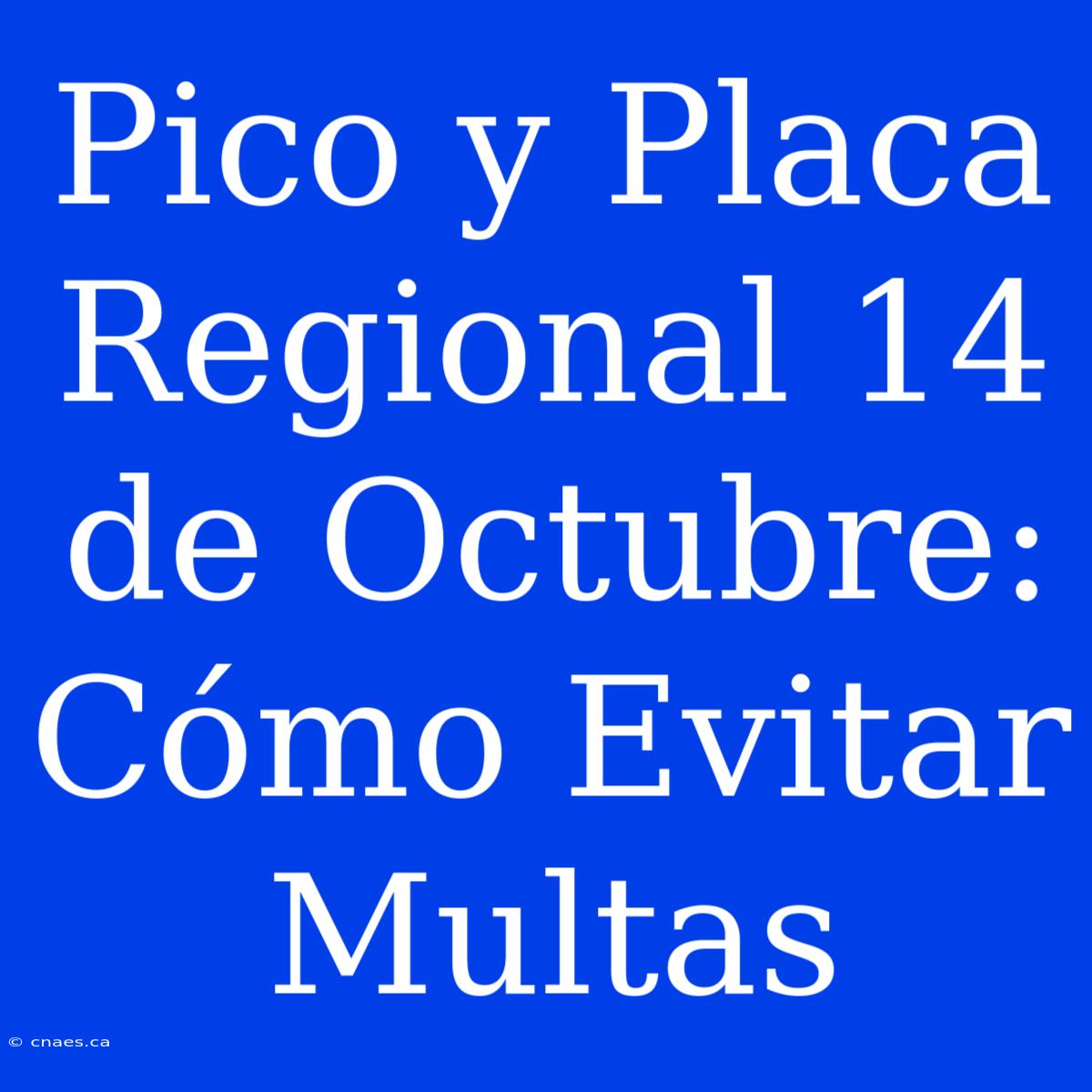 Pico Y Placa Regional 14 De Octubre: Cómo Evitar Multas