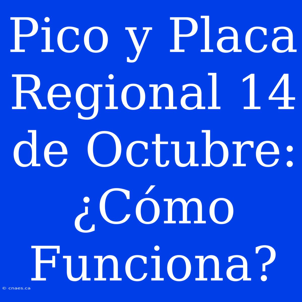 Pico Y Placa Regional 14 De Octubre: ¿Cómo Funciona?