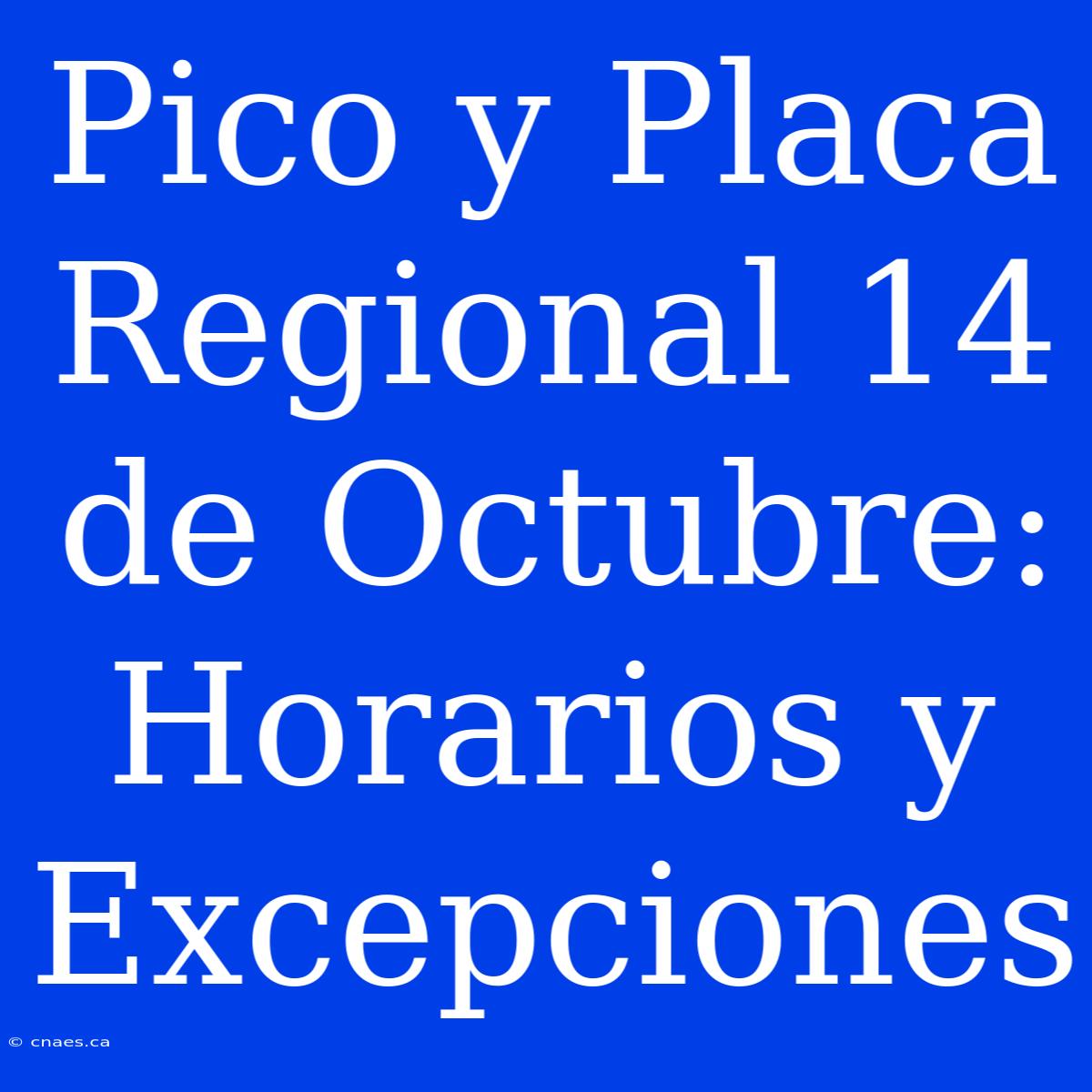 Pico Y Placa Regional 14 De Octubre: Horarios Y Excepciones