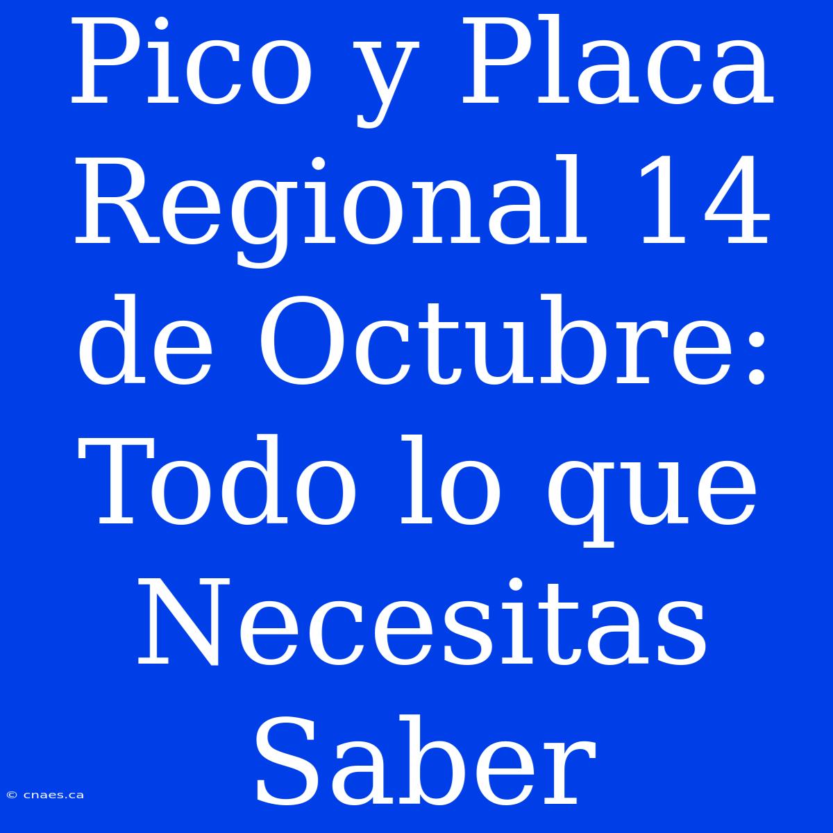 Pico Y Placa Regional 14 De Octubre: Todo Lo Que Necesitas Saber