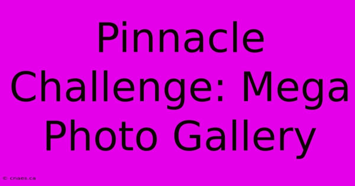 Pinnacle Challenge: Mega Photo Gallery