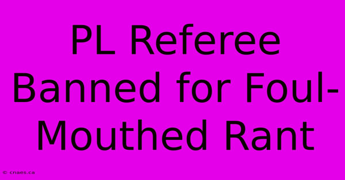 PL Referee Banned For Foul-Mouthed Rant