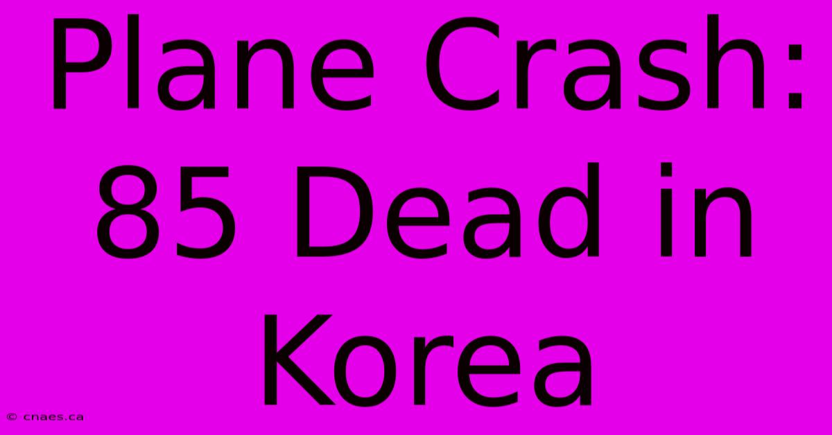 Plane Crash: 85 Dead In Korea