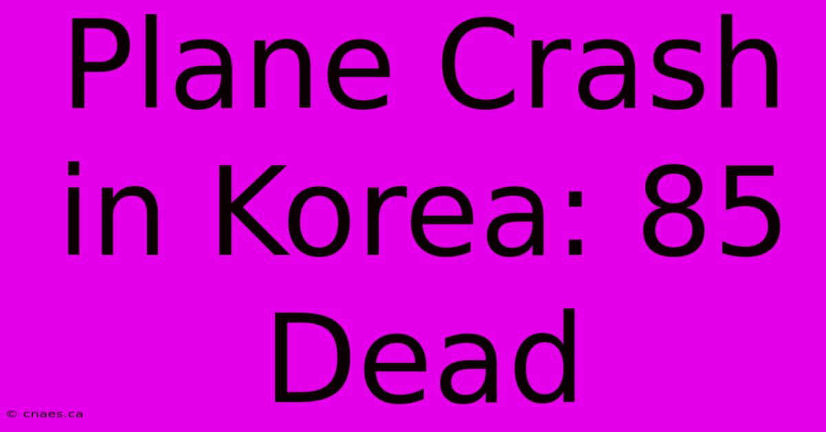 Plane Crash In Korea: 85 Dead