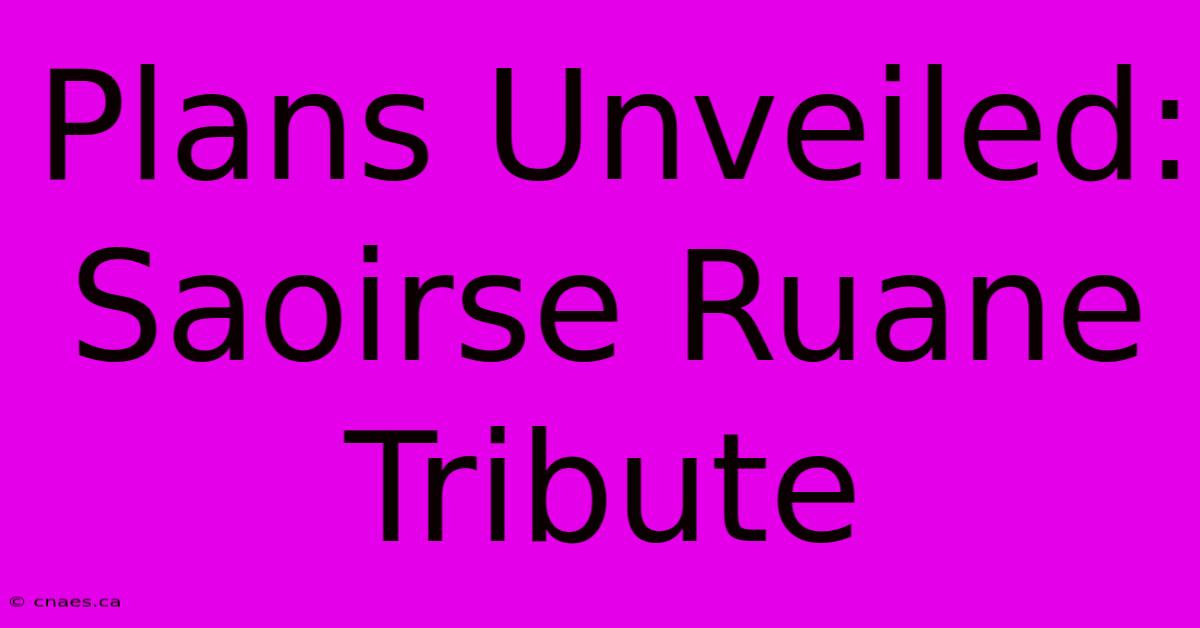 Plans Unveiled: Saoirse Ruane Tribute