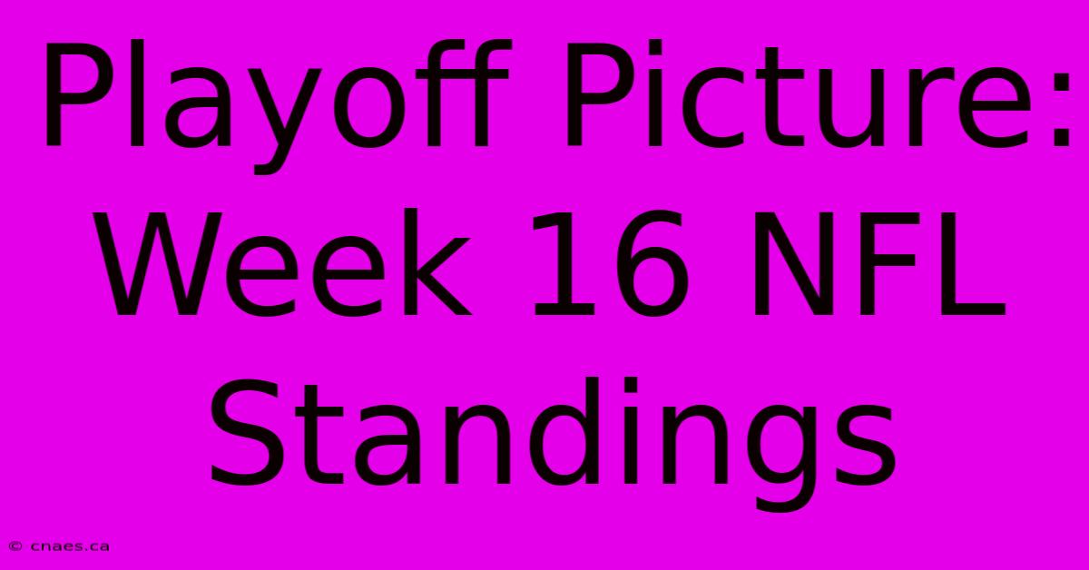 Playoff Picture: Week 16 NFL Standings