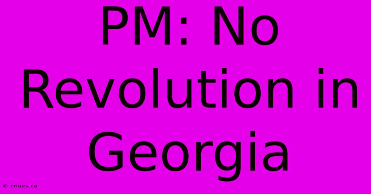 PM: No Revolution In Georgia