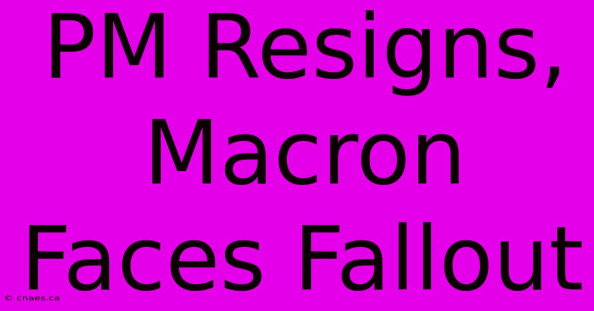 PM Resigns, Macron Faces Fallout