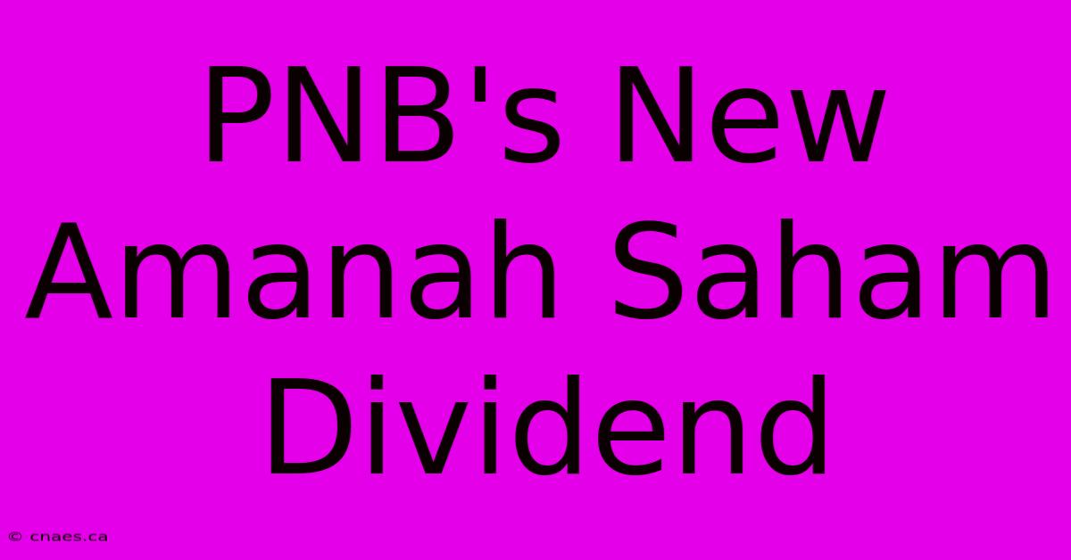 PNB's New Amanah Saham Dividend