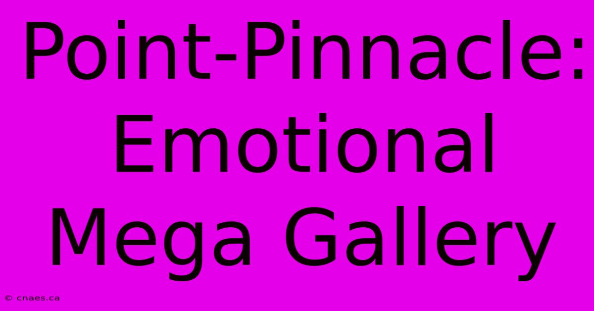 Point-Pinnacle: Emotional Mega Gallery