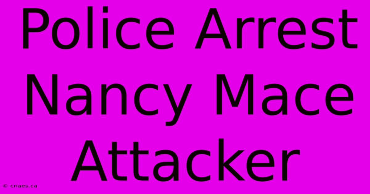 Police Arrest Nancy Mace Attacker