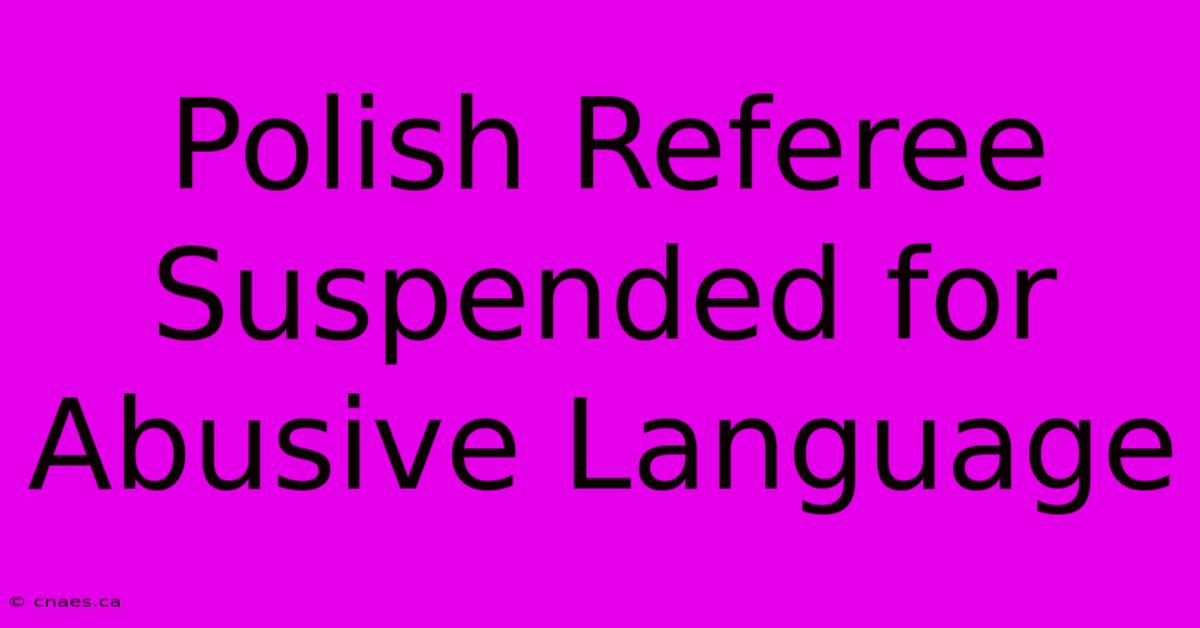 Polish Referee Suspended For Abusive Language 