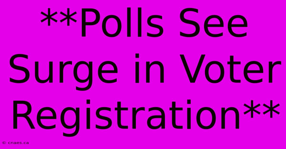 **Polls See Surge In Voter Registration**