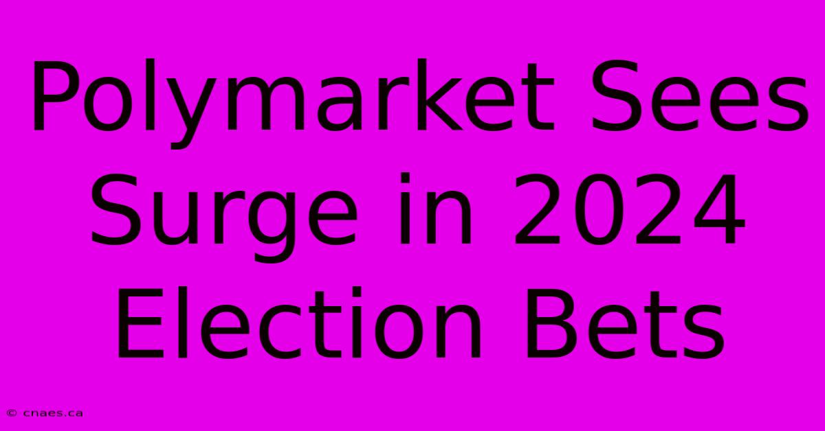 Polymarket Sees Surge In 2024 Election Bets