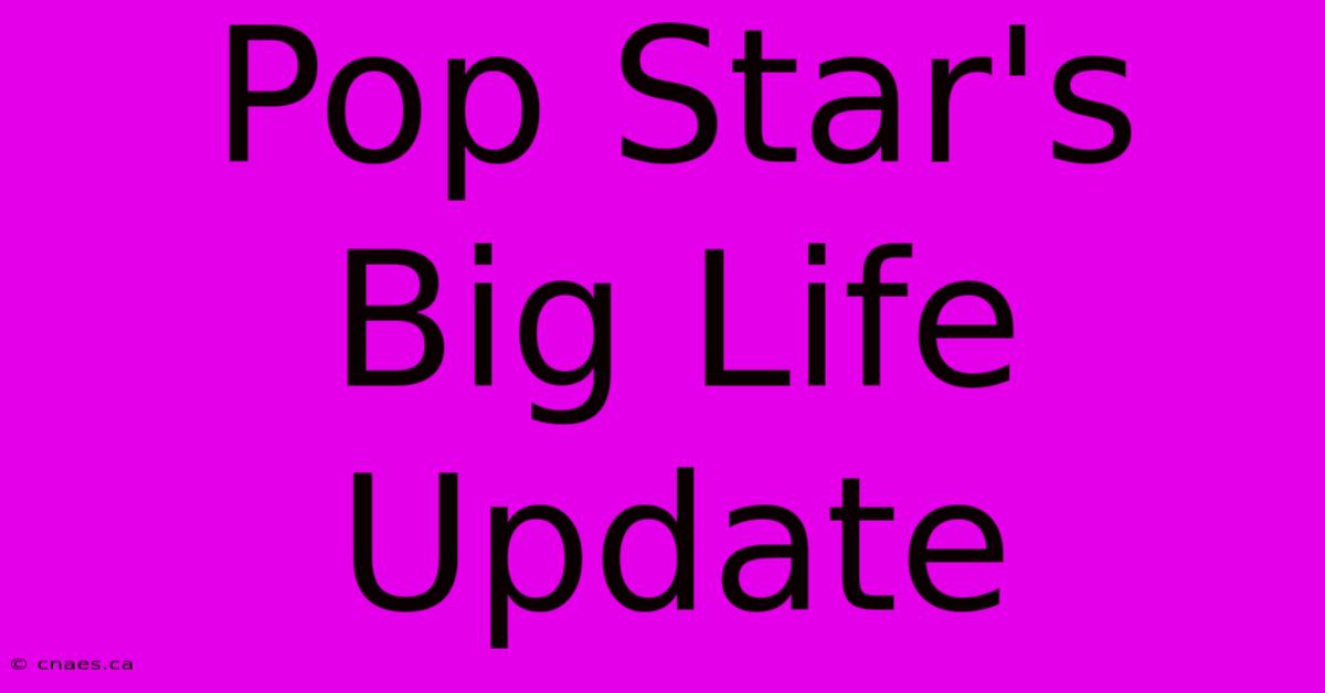 Pop Star's Big Life Update