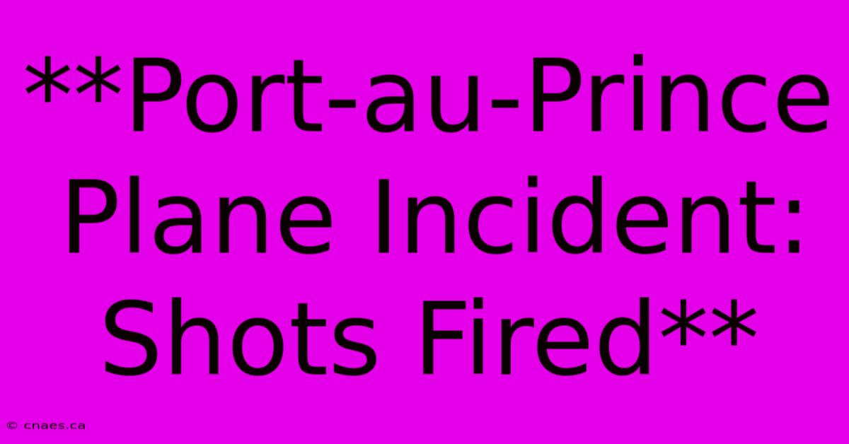 **Port-au-Prince Plane Incident: Shots Fired** 