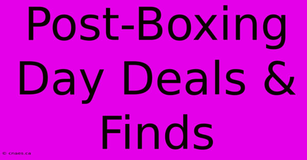 Post-Boxing Day Deals & Finds