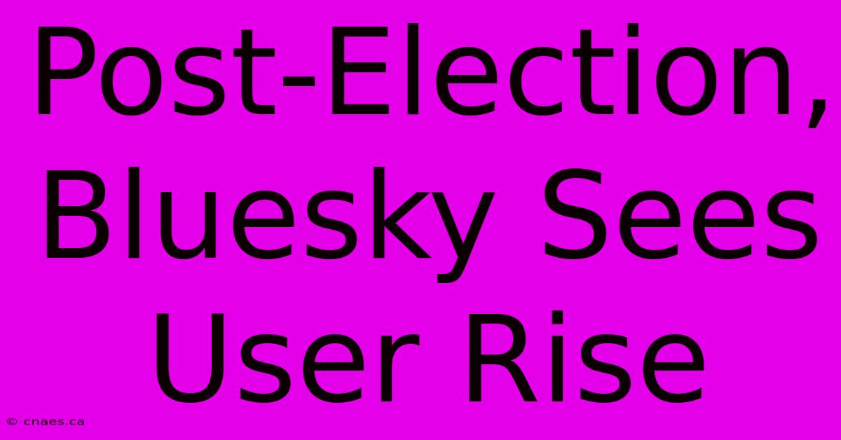 Post-Election, Bluesky Sees User Rise