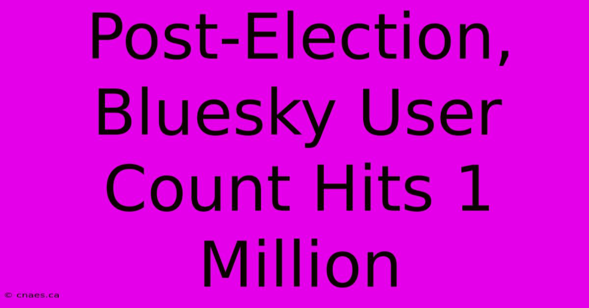 Post-Election, Bluesky User Count Hits 1 Million 