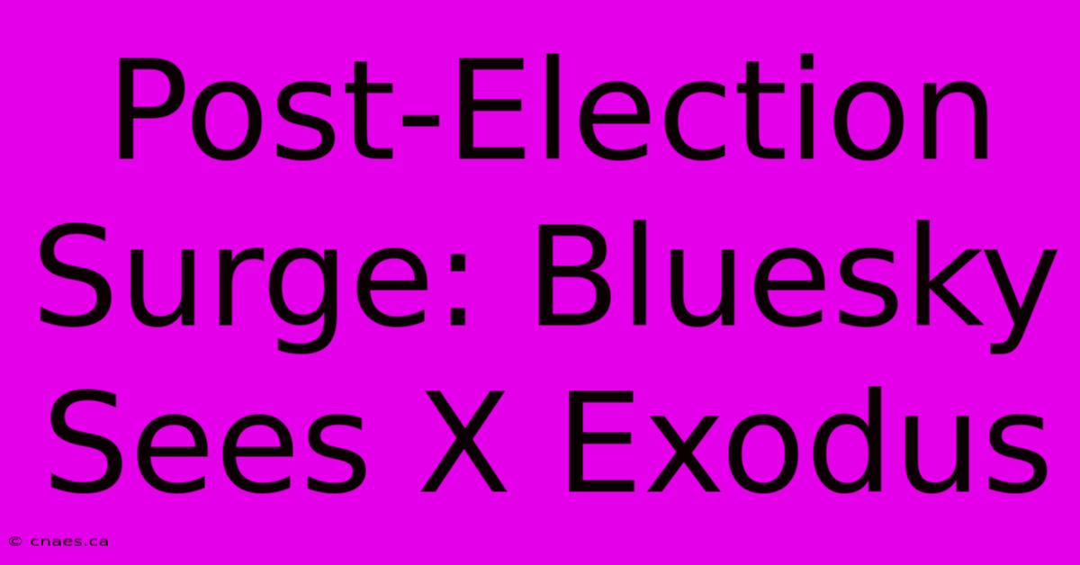 Post-Election Surge: Bluesky Sees X Exodus