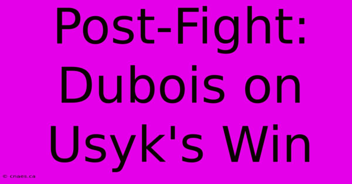 Post-Fight: Dubois On Usyk's Win