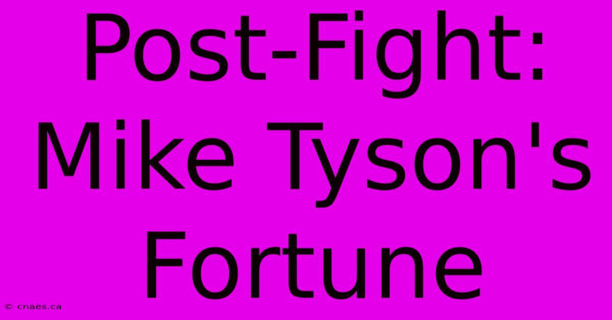 Post-Fight: Mike Tyson's Fortune