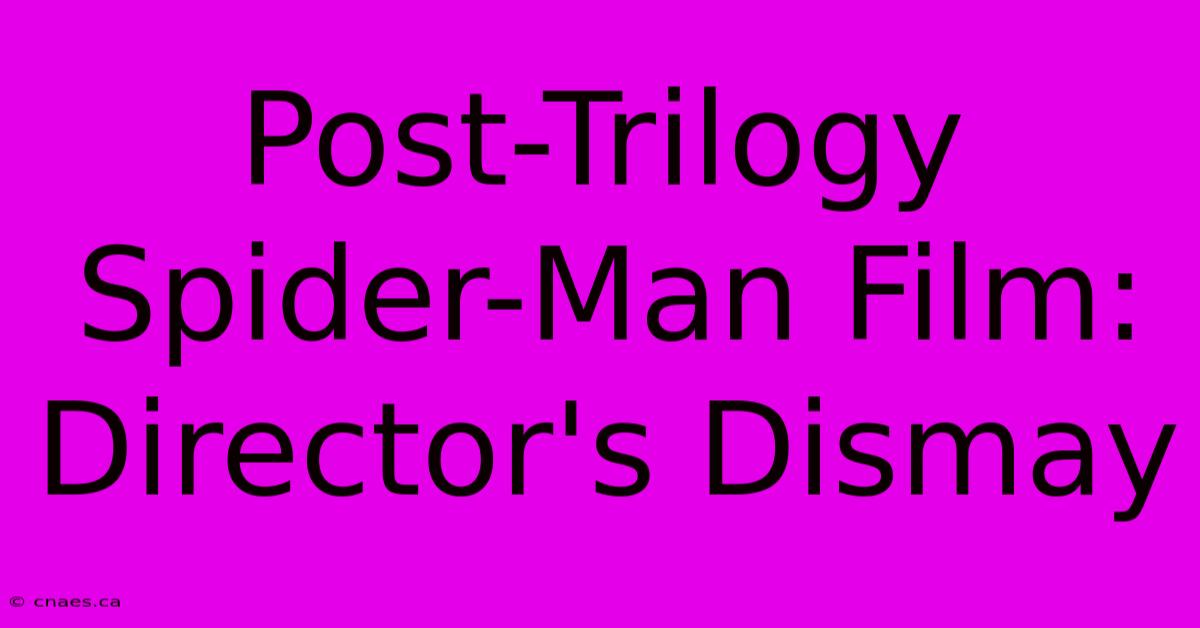 Post-Trilogy Spider-Man Film: Director's Dismay