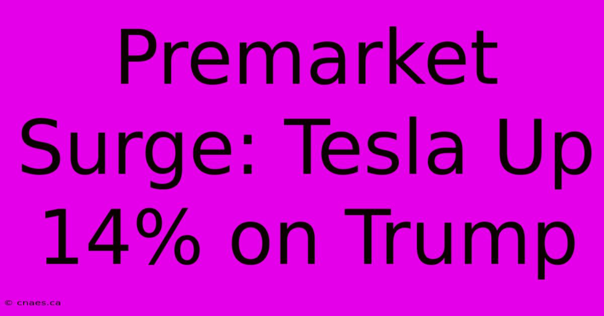 Premarket Surge: Tesla Up 14% On Trump