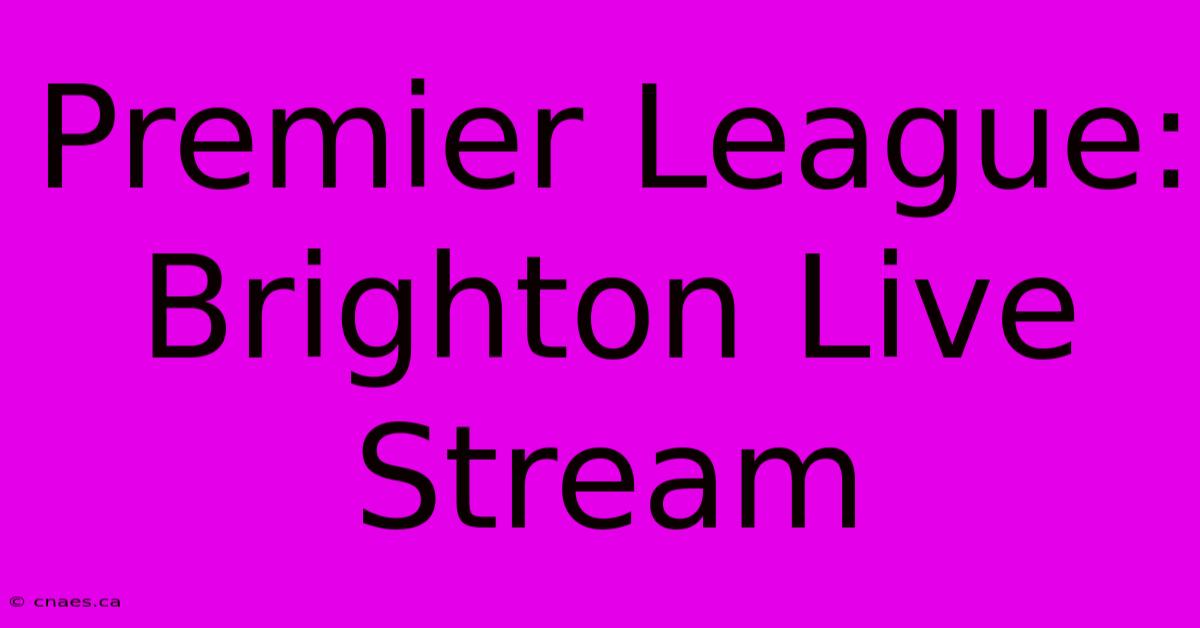 Premier League: Brighton Live Stream