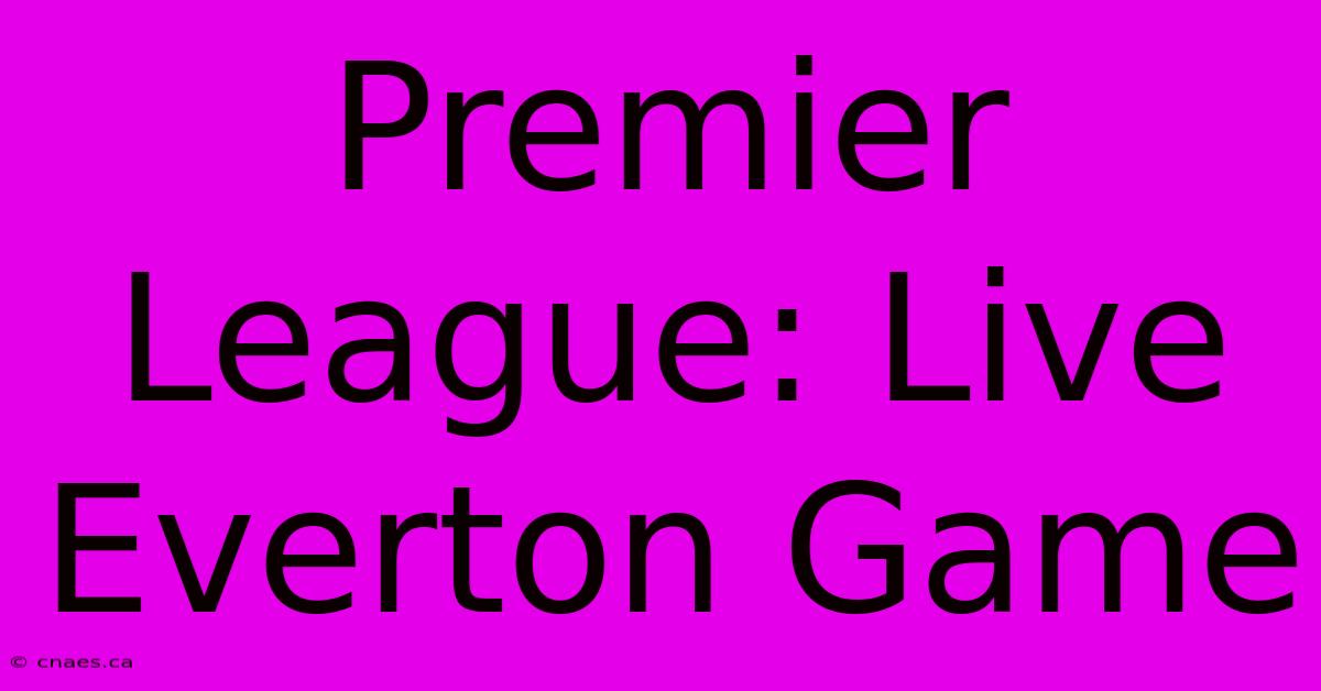 Premier League: Live Everton Game