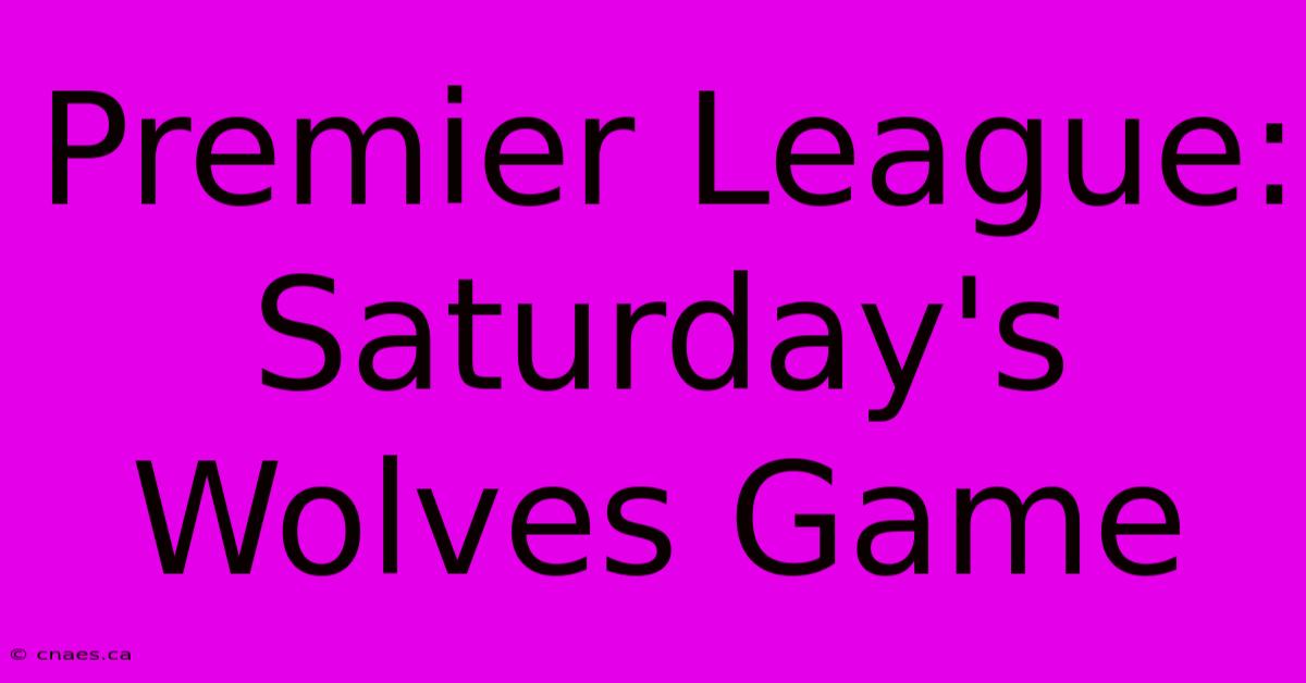 Premier League: Saturday's Wolves Game