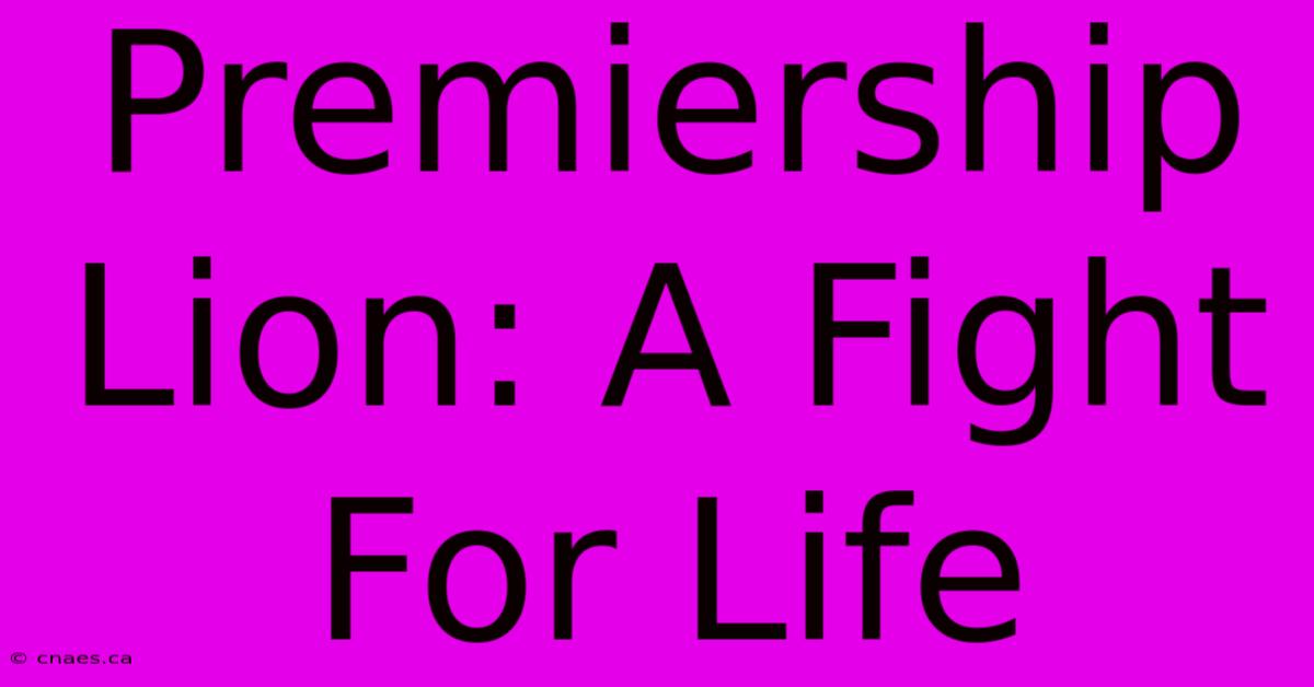 Premiership Lion: A Fight For Life