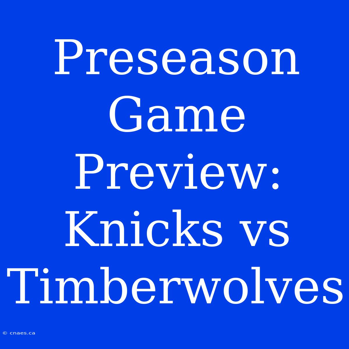 Preseason Game Preview: Knicks Vs Timberwolves