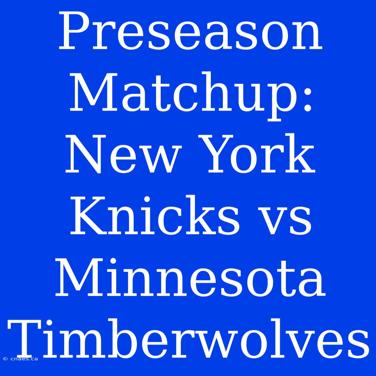 Preseason Matchup: New York Knicks Vs Minnesota Timberwolves