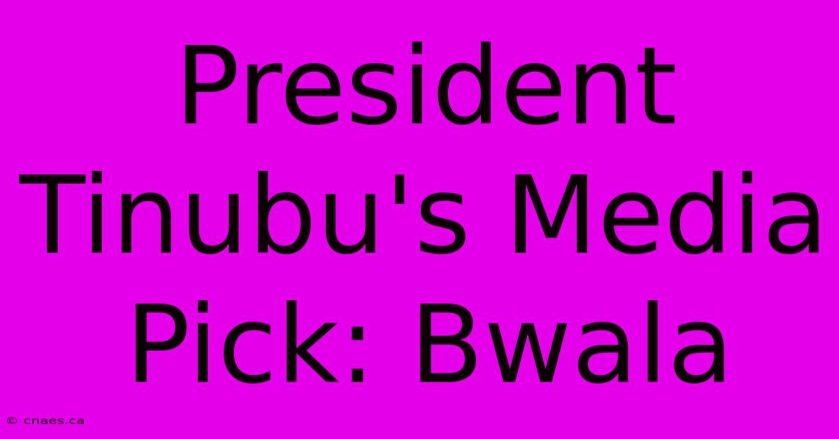 President Tinubu's Media Pick: Bwala