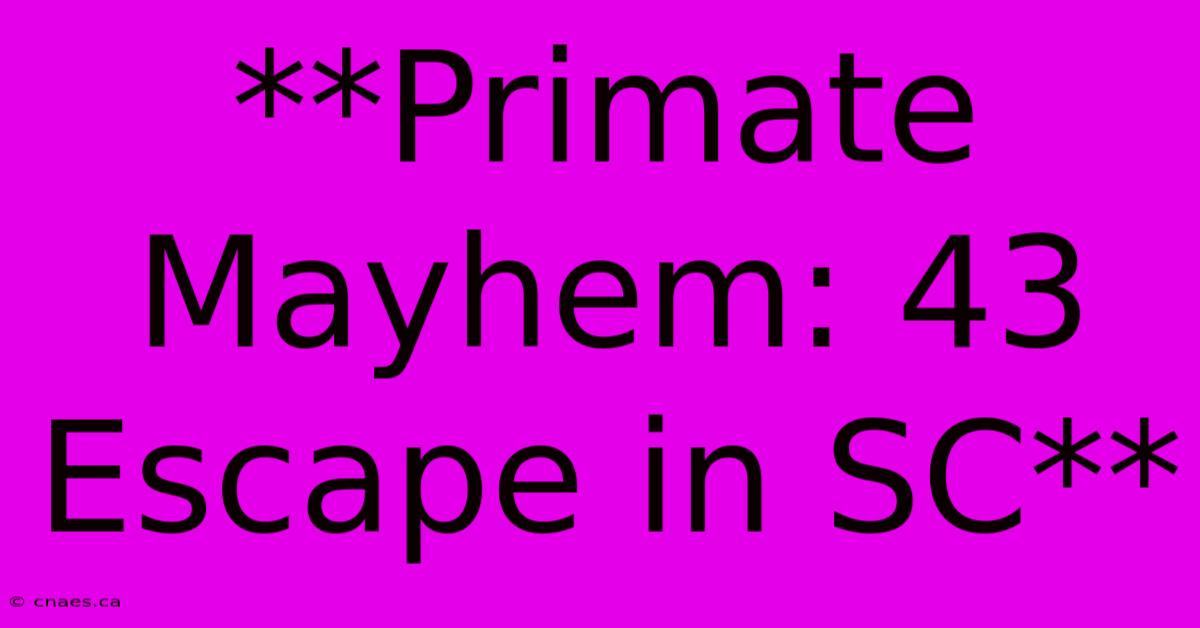 **Primate Mayhem: 43 Escape In SC**