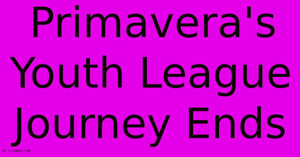 Primavera's Youth League Journey Ends